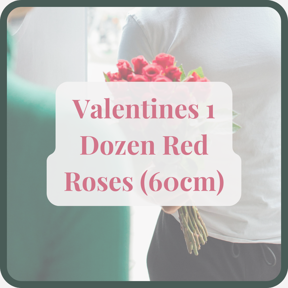 Valentines 1 Dozen Red Roses (60cm)