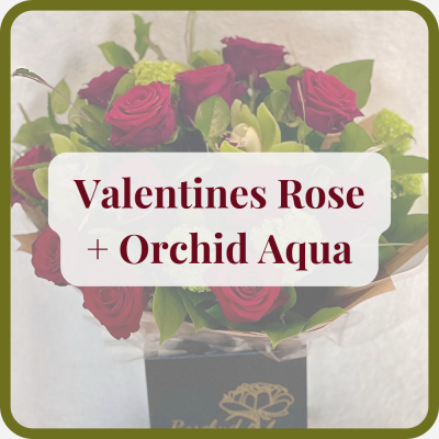 Rose and Orchid Aqua - A stunning aqua consisting of the finest red roses, orchids, and greenery.